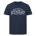 Image for color: french navy